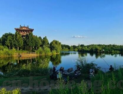 2元抢庄牛牛-2元抢庄牛牛的乐趣与策略